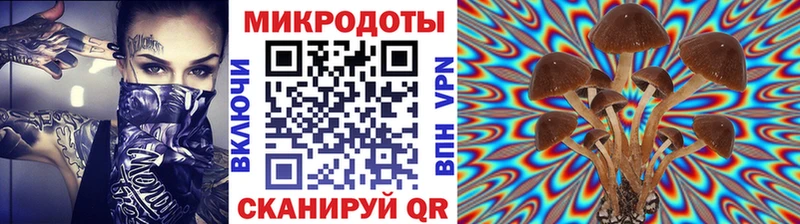 где найти наркотики  Духовщина  Псилоцибиновые грибы Psilocybine cubensis 